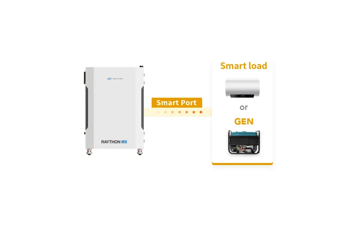 A programmable smart port (Raython M5/8)