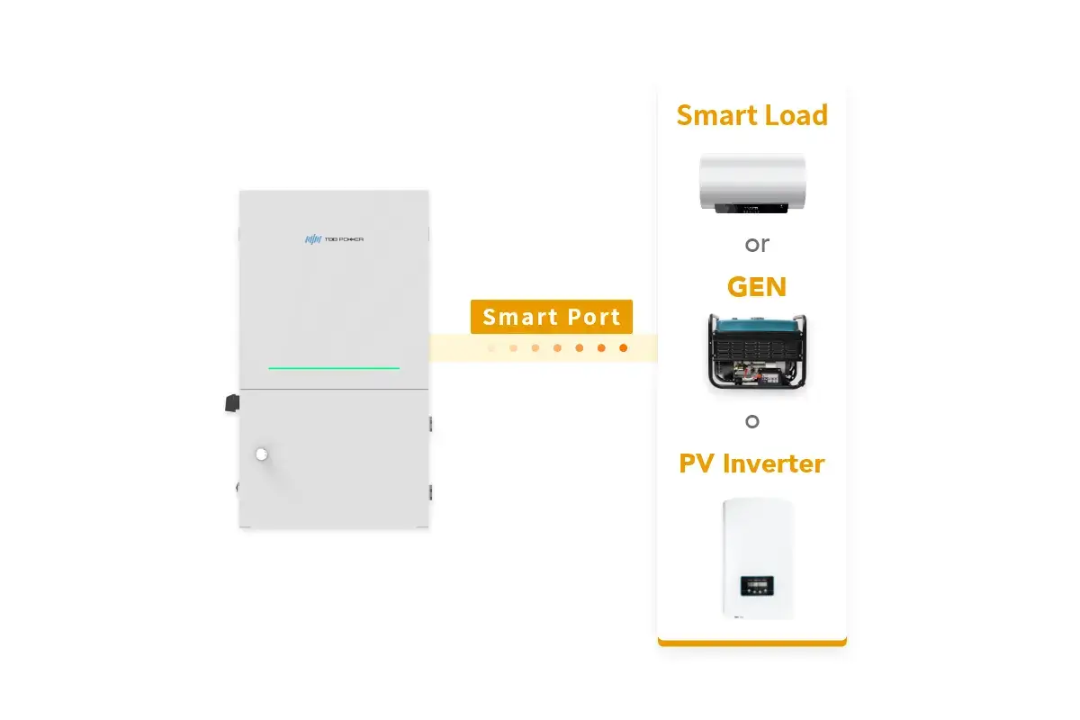One Programmable Smart Port